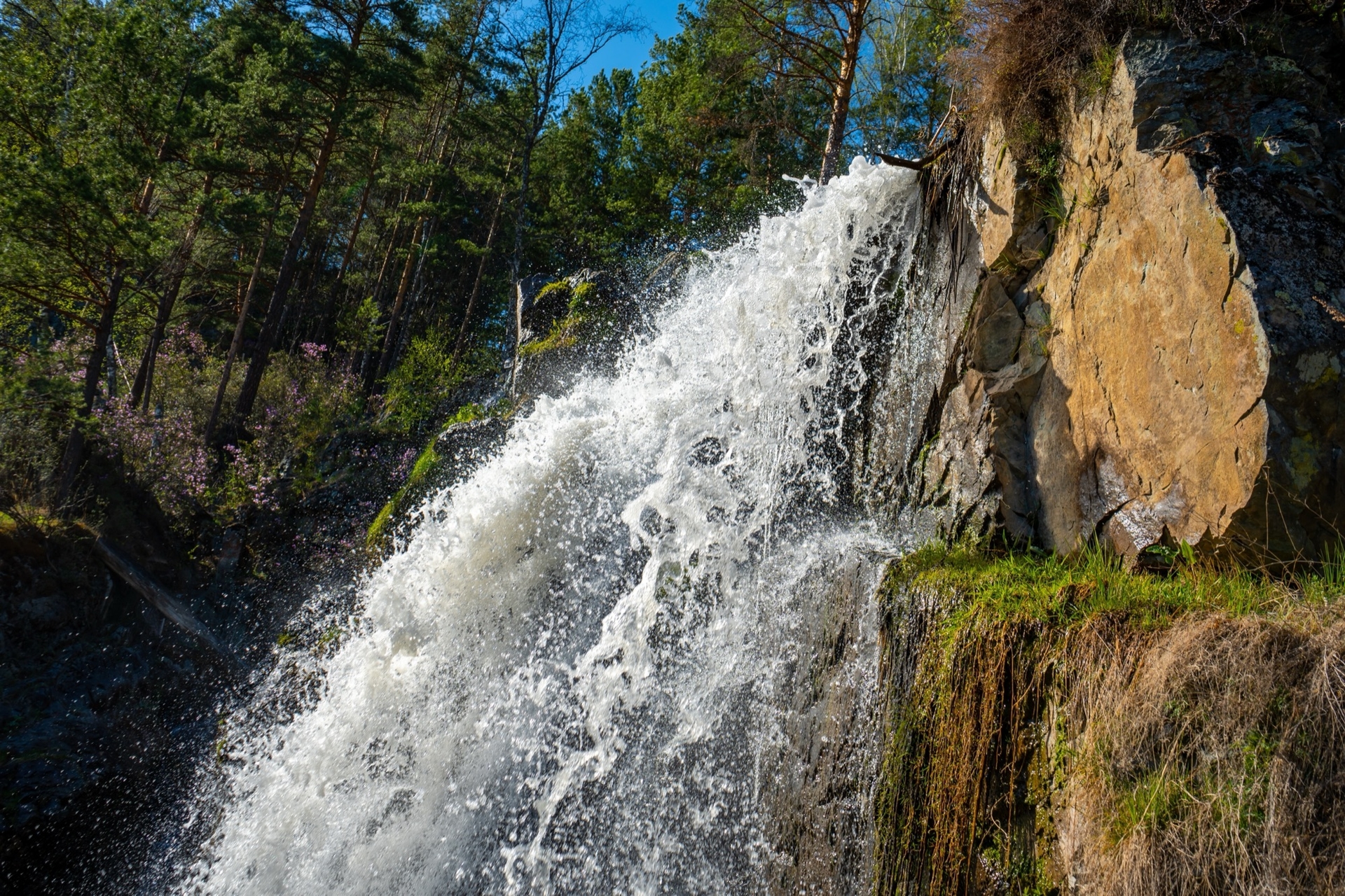 Moscow and Altai tour, photo 5